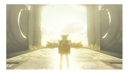 The Legend Of Zelda Tears Of The Kingdom ::.. Switch