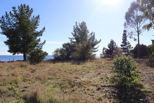 Preciosa Parcela De 1 Hectárea A Orilla Del Lago Llanquihu