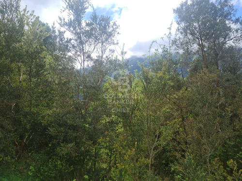 Oportunidad! Parcela Con Frutales, Vista Volcán Y Riachuelo