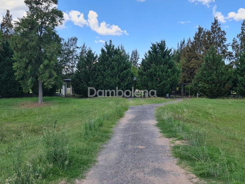 Imagen 21 de 30 de Campo En Venta - General Rodríguez - G.b.a. Zona Oeste