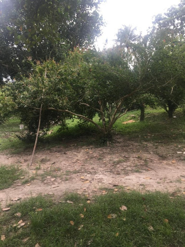 Imagem 17 de 20 de Qualidade De Vida Pra Você, Ótima Granja 06 Hec, Lazer Em Bonança, Aceito Imóvel/carro - Ch00022 - 68991934