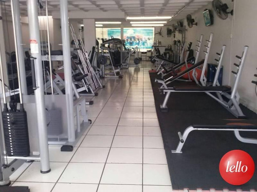 Comercial/industrial - Ref: 37073