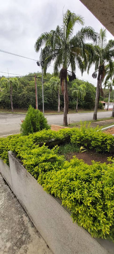 Se Vende Penthouse 550m2 4h/4b/4p Balcones De Paso Real 0282