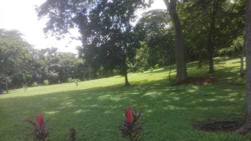 Imagen 5 de 11 de Terrena De 1 Hectárea Con Casa