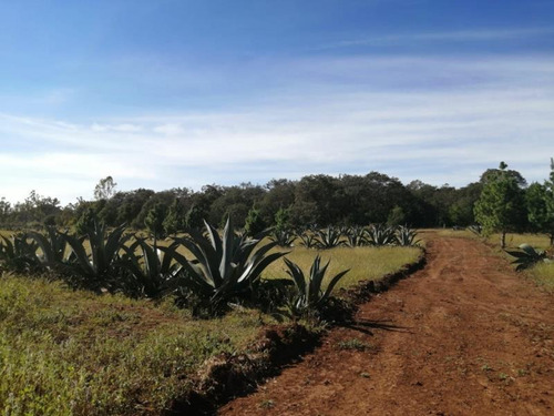 Terreno En Venta Terrenos Huasca Preventa Con Servicios No Ejido