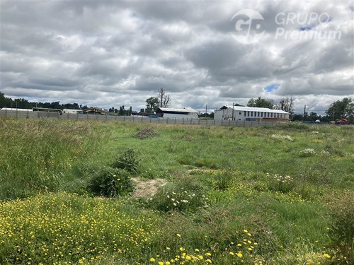 Imagen 5 de 6 de Sitio En Venta En Osorno