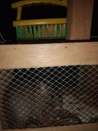 Jaula trampa para ratas y roedores (41,5x16x16,5 cm)