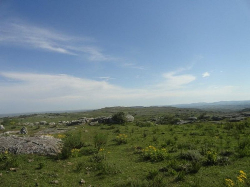Campo En Venta En Las Cañas