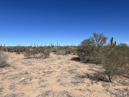 Km 43, El Mezquite De Don Dominguez