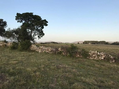 Campo De 35 Hectareas Sobre Ruta 12