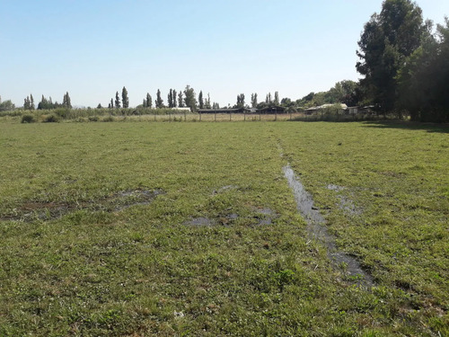 Hermosa Parcela, Buen Terreno Con Agua