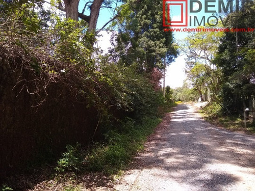 Imagem 8 de 12 de Terreno - Te00008 - 69258914