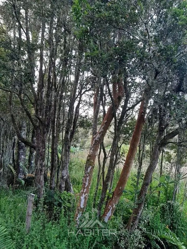 Parcela De 10.000 Mt 2 ,con 2 Cabañas ,1 Quincho