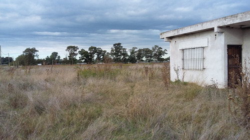 Imagen 6 de 8 de Chacra En Venta En Zona Producción Hortícola La Plata