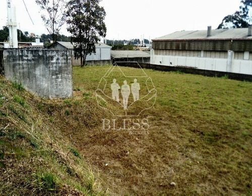 Imagem 8 de 8 de Terreno Distrito Industrial, Jundiaí - Te00088 - 4798886