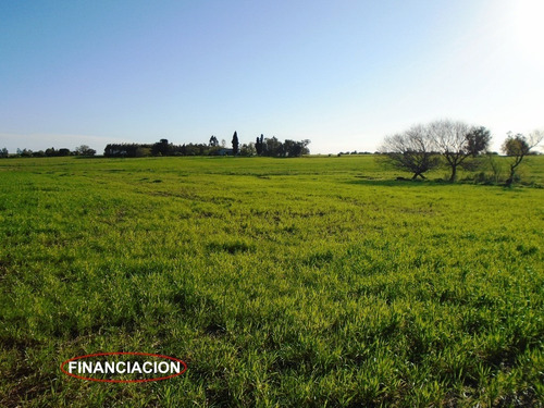 Nueva Helvecia - Chacra 6,8 Has