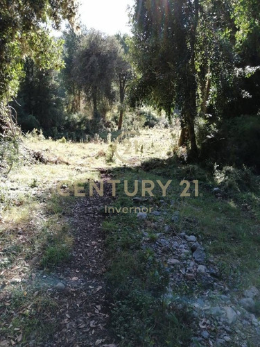 Imagen 9 de 14 de Espectacular Campo En Estero Plateado