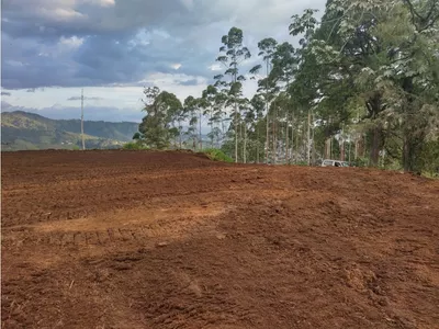 Lote y casalote en venta