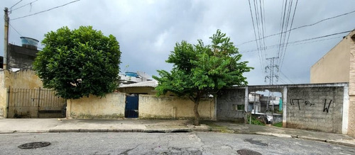 Imagem 6 de 8 de Imóvel Comercial Jd Japão - Te0041