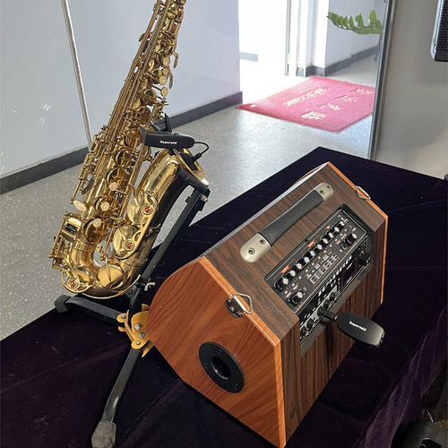 Micrófono Inalámbrico Superadd Kx-621 De Saxofón