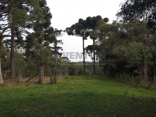 Imagem 13 de 15 de Area - Contenda - Ref: 3923 - V-3923