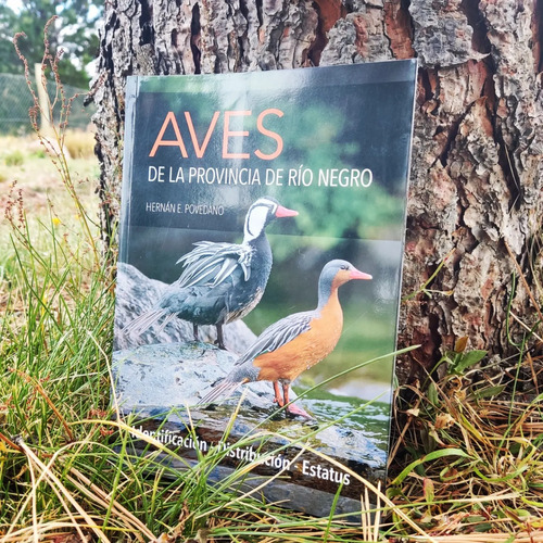 Aves De La Provincia De Rio Negro, En Patagonia