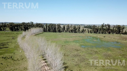 Campo Lote Venta Ruta 6