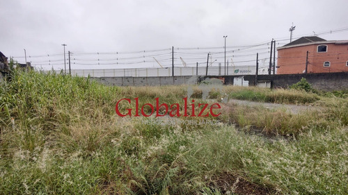 Imagem 7 de 22 de Terreno - Te00010 - 70765109