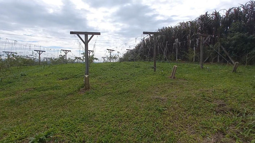 Imagem 12 de 15 de Sítio / Chácara Para Venda Em Araucária, Zona Rural, 2 Dormitórios, 1 Banheiro, 1 Vaga - 157_2-1591009