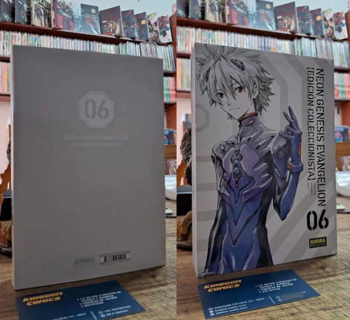 Neon Genesis Evangelion. Edicion Coleccionista. Volumen 6.