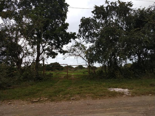 Venta Terreno 6 Has. Santiago De La Peña Tuxpan Veracruz