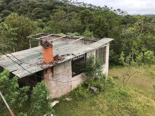 Imagem 12 de 21 de Rural Para Venda, 0 Dormitórios, Dos Pereiras (caucaia Do Alto) - Cotia - 2886