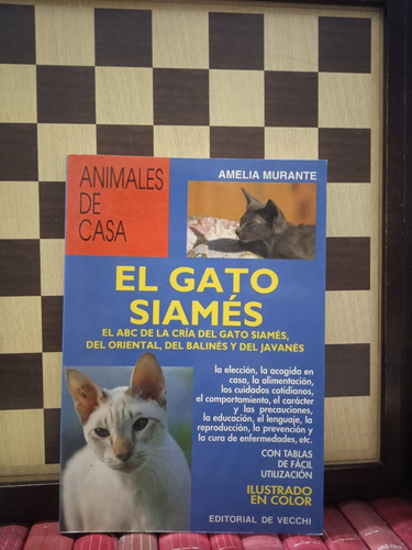 El Gato Siamés-amelia Murante