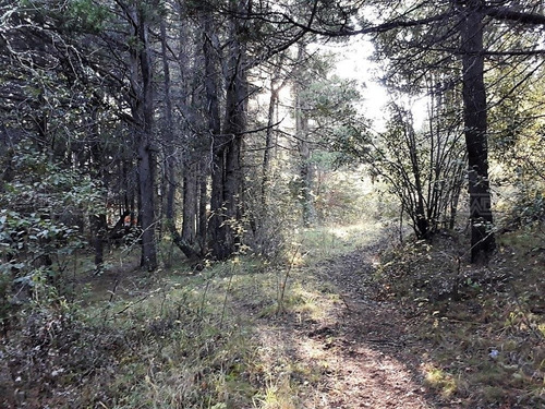 Terreno Fraccion En Venta Ubicado En Villa Lago Gutierrez, Bariloche