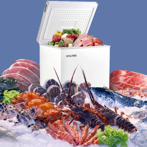 Mini Congelador Frigorífico Uso Doméstico