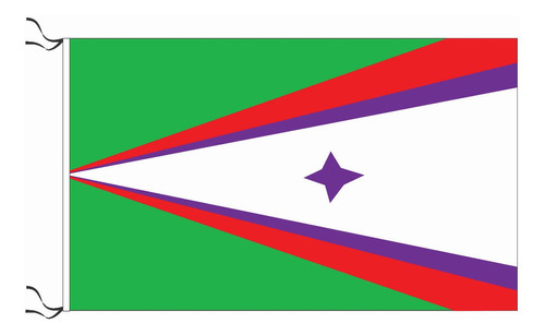 Bandera De Colonia Bossi Santa Fe 90x150cm Oficial