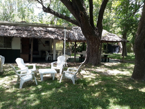 Imagen 3 de 8 de Venta Quinta 4000 M2 Sobre Avenida Dique Lujan Tigre ( Rebajada 20% )
