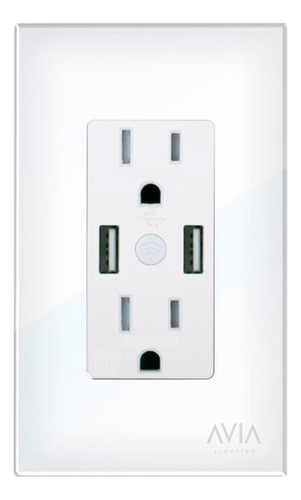 Placa Duplex Con 2 Puertos Usb Smart Home Wifi Avia By Igoto