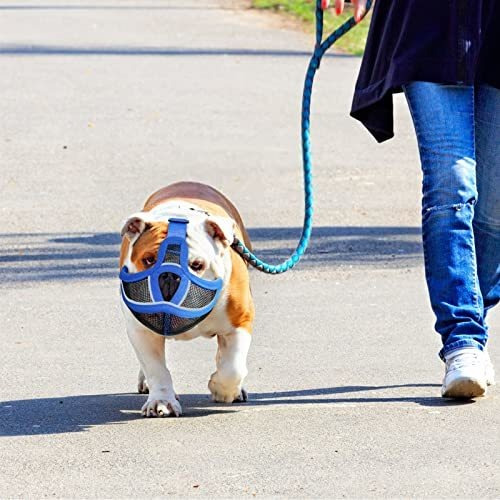 Imagen 7 de 11 de Bozal Para Perro De Hocico Corto Ajustable De Malla Xl Azul