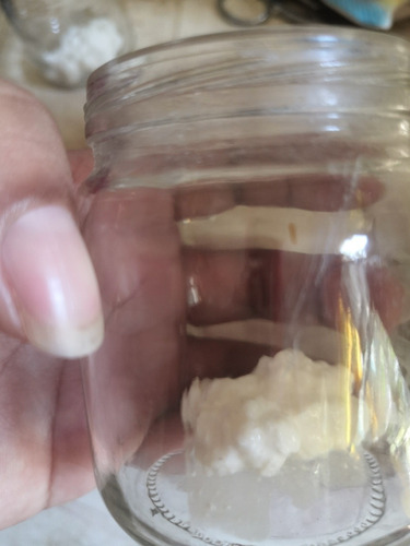 Kefir Búlgaros De Leche Para Yogurt + Instructivo + Envio