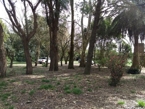 Imagen 4 de 5 de Lote De 1512 M2 Sobre Ruta 205 (ref: Lote 1)