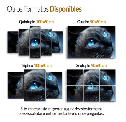 Cuadro Decorativo Moderno Gato Mirada Jd-0343 G Quíntuple 100x60 Cm Sin Marco