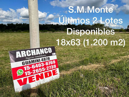 Imagen 1 de 13 de Líquido!!! Lote De Terreno  En Venta De 1250 M2 En San Miguel Del Monte