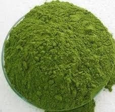 Moringa En Polvo 100% Natural 1kg