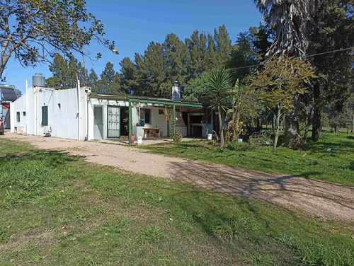 Venta Chacra En Manga 4 Has Con Casa Y Frutales