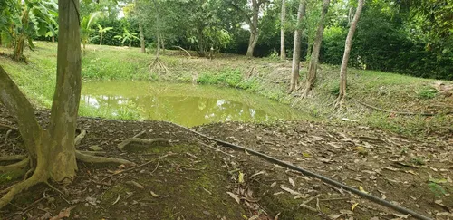 Finca En Venta A 15 Minutos Del Centro De Cerete