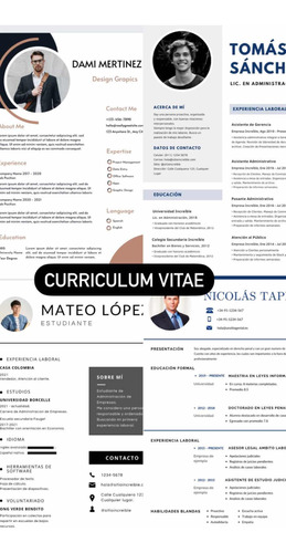 Curriculum Vitae