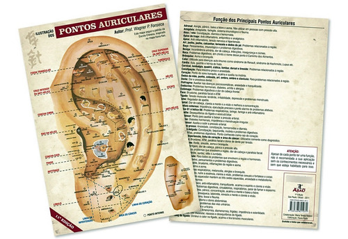 Mapa Acupuntura Auricular - Auriculoterapia Microssistemas 