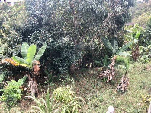 Casa En Venta En Colinas De Carrizal - Mm - Mls #25-13298