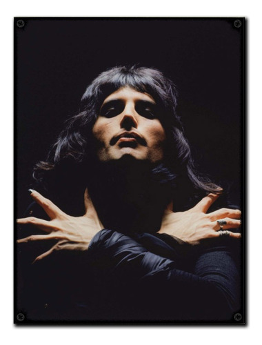 #149 - Cuadro Vintage 30 X 40 - Freddie Mercury Queen Poster